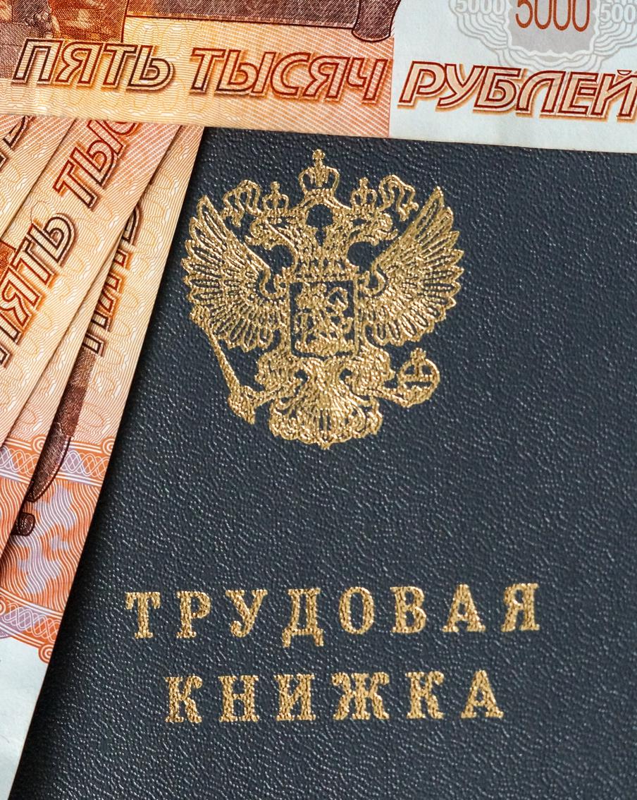 В России число отраслей с зарплатой более полумиллиона рублей выросло до восьми. Согласно статистике Росстата, за первые пять месяцев 2026 года самыми высокооплачиваемыми отраслями в России оказались: управление пенсионными резервами негосударственных пенсионных фондов – 827,1 тысячи рублей; управление ценными бумагами – 737,5 тысячи рублей; аренда и лизинг медицинских приборов – 728,9 тысячи рублей