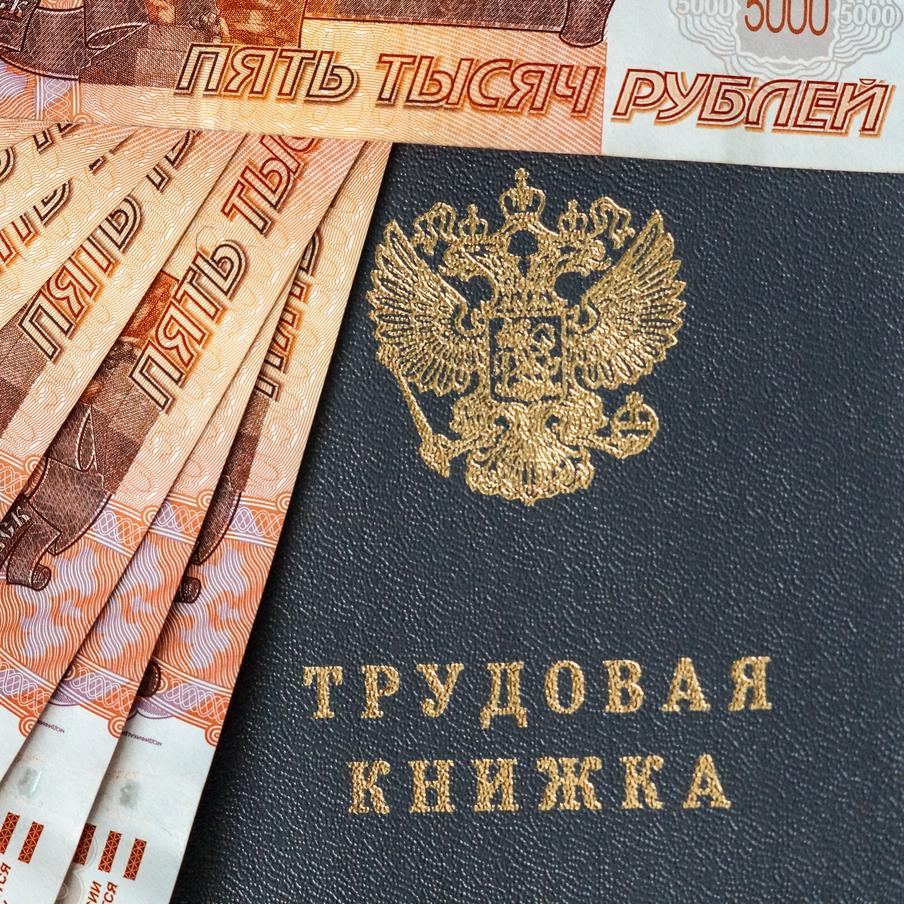 В России число отраслей с зарплатой более полумиллиона рублей выросло до восьми. Согласно статистике Росстата, за первые пять месяцев 2026 года самыми высокооплачиваемыми отраслями в России оказались: управление пенсионными резервами негосударственных пенсионных фондов – 827,1 тысячи рублей; управление ценными бумагами – 737,5 тысячи рублей; аренда и лизинг медицинских приборов – 728,9 тысячи рублей