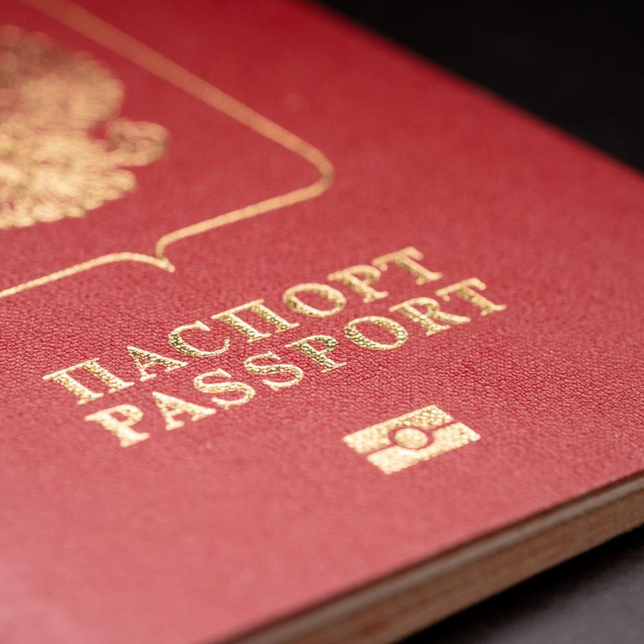 Граждане Швеции и других стран проявляют интерес к переезду в Россию. Глава российского посольства в Стокгольме заявил, что к ним регулярно обращаются шведские граждане и натурализованные иностранцы с просьбой о получении специальных виз для лиц, разделяющих традиционные ценности. Большинство заявителей имеют высшее образование, и среди них есть те, кто располагает достаточными финансовыми средствами для адаптации