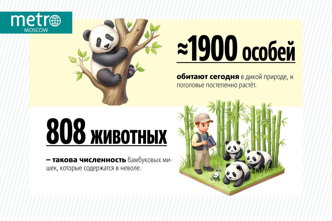 Панд посчитали. 