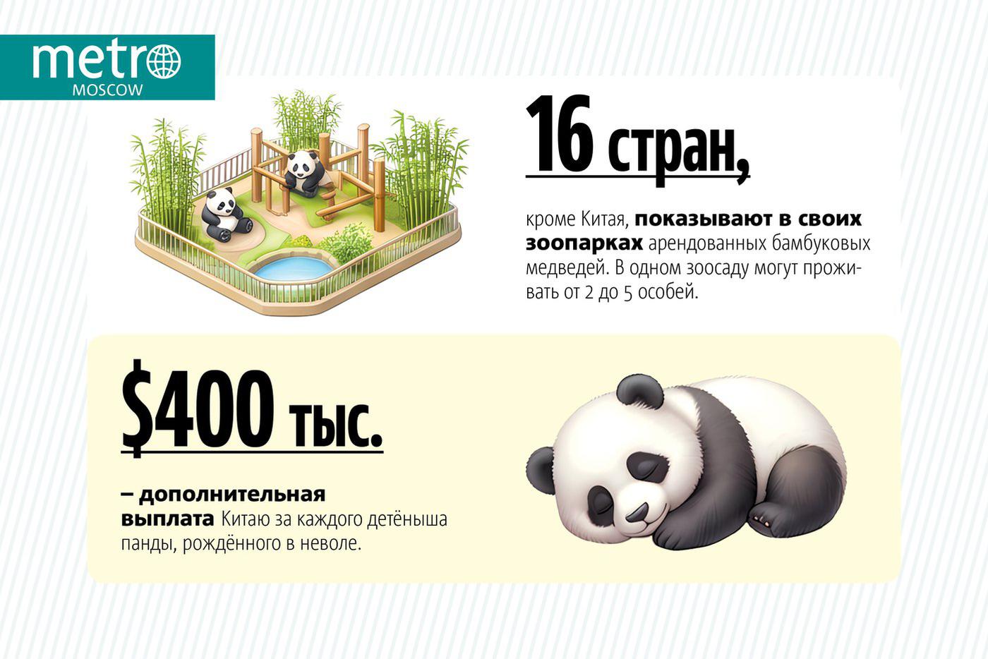 Панд посчитали. 