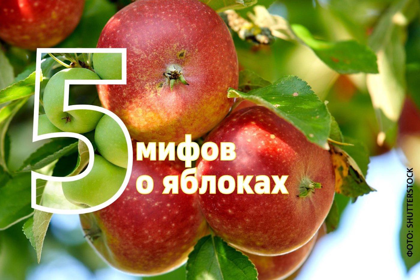"Оно превращается в жир": топ-5 мифов о яблоках, в которые все верят