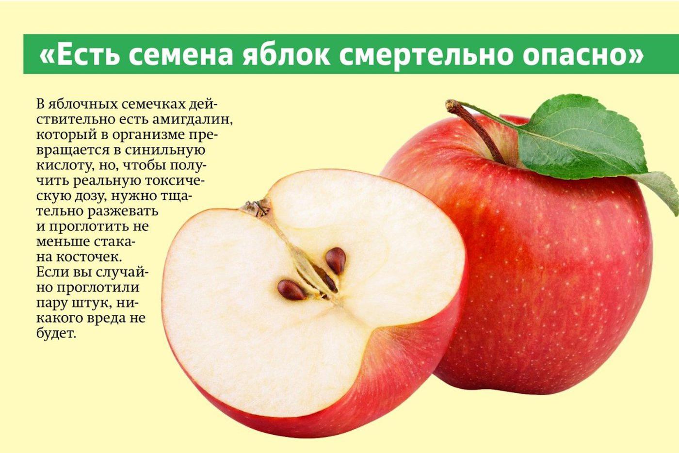 Миф № 1 о яблоках.