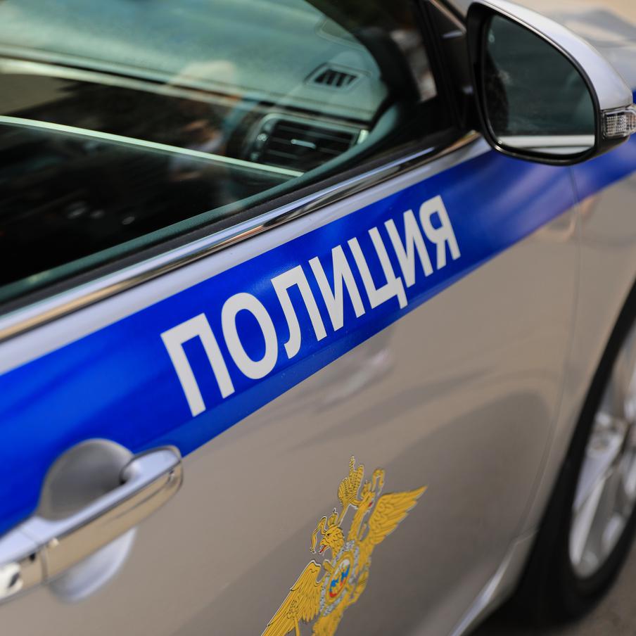 Похищенную за две недели до свадьбы невесту из Твери вернули жениху. Выступавшие против бракосочетания Дианы и Фёдора родственники девушки отпустили её после того, как с ними связались представители правоохранительных органов