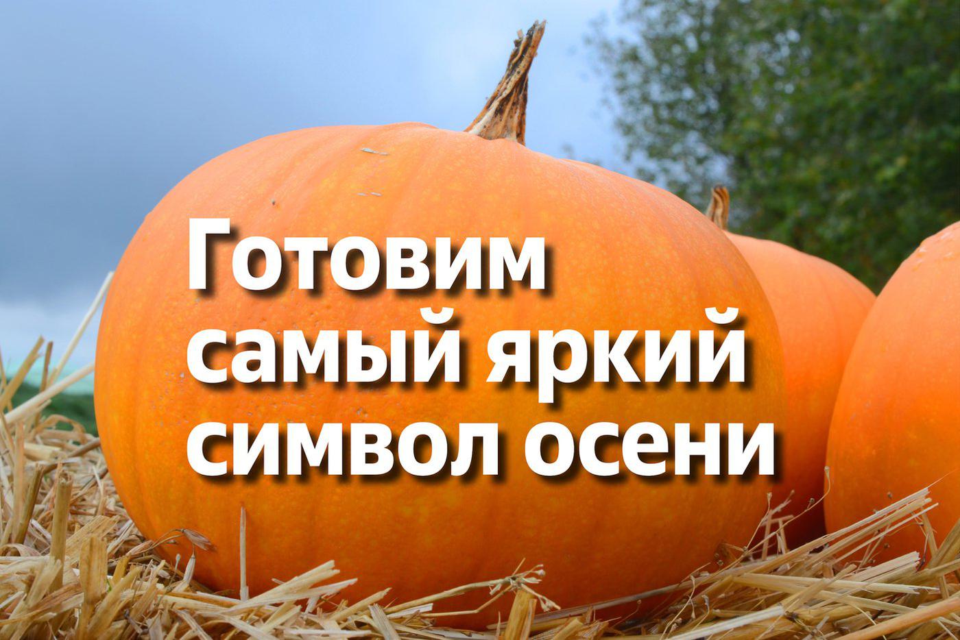 Зажарить или добавить в кофе: как приготовить осеннюю красавицу-тыкву
