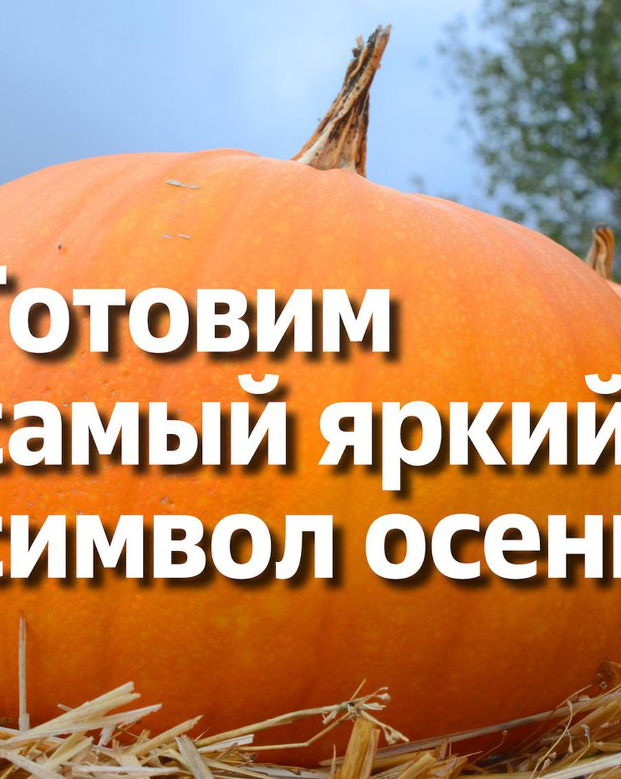 Зажарить или добавить в кофе: как приготовить осеннюю красавицу-тыкву