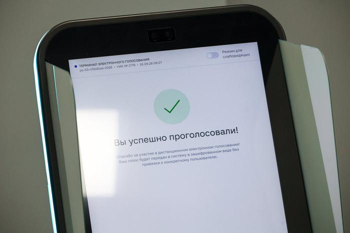 Электронным голосованием в Москве воспользовались более 1 млн избирателей