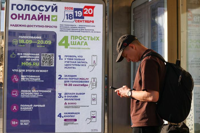 Наталья Карпович: ДЭГ позволяет проголосовать независимо от местонахождения