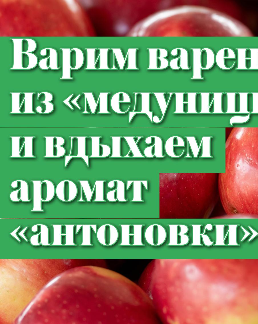 Варим варенье из медуницы, вдыхаем аромат антоновки: что нужно знать про яблоки