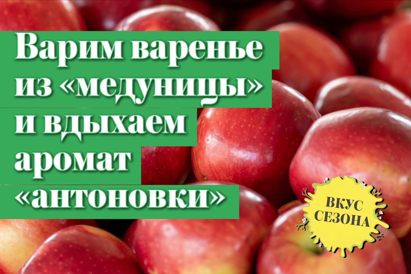 Варим варенье из медуницы, вдыхаем аромат антоновки: что нужно знать про яблоки