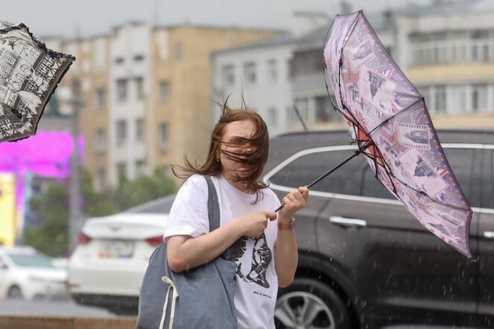 Дождь, гроза, порывистый ветер: РСЧС предупредила москвичей о надвигающейся непогоде