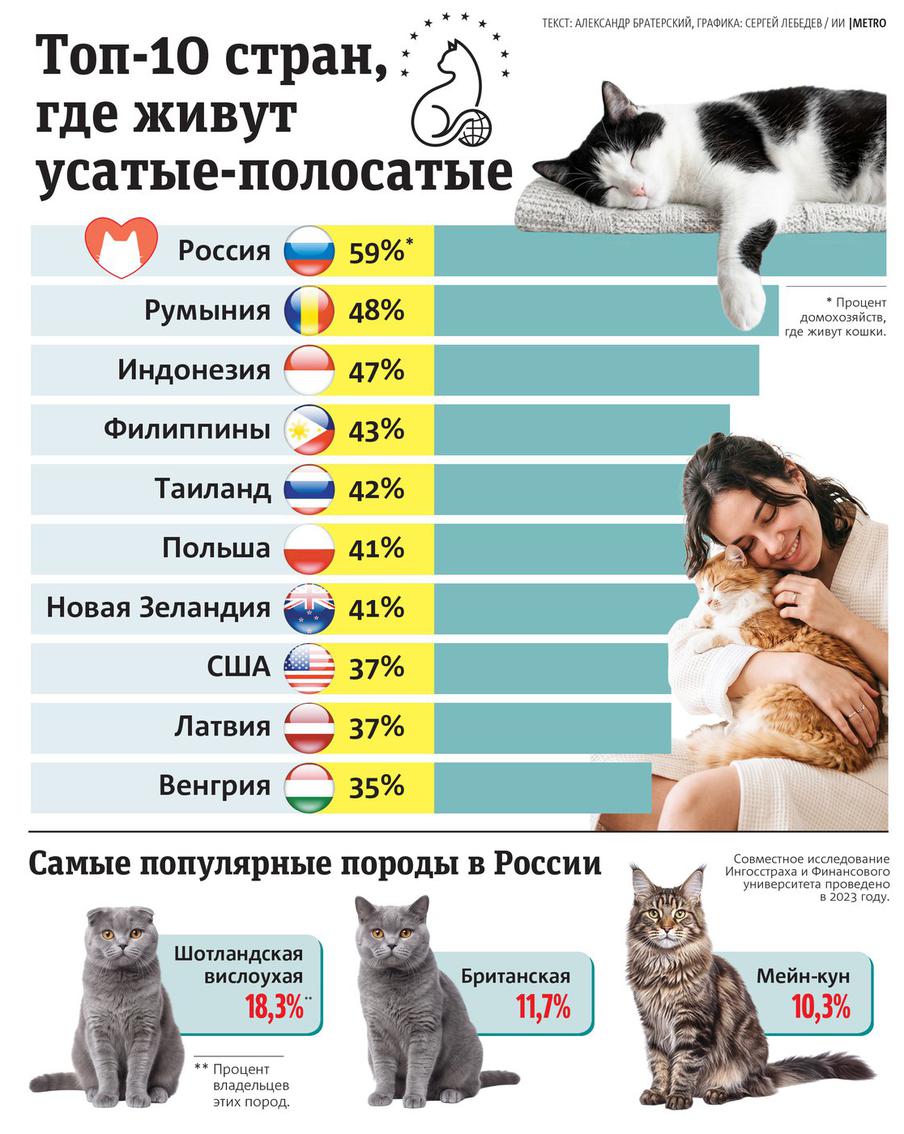 Что нужно знать о котах.