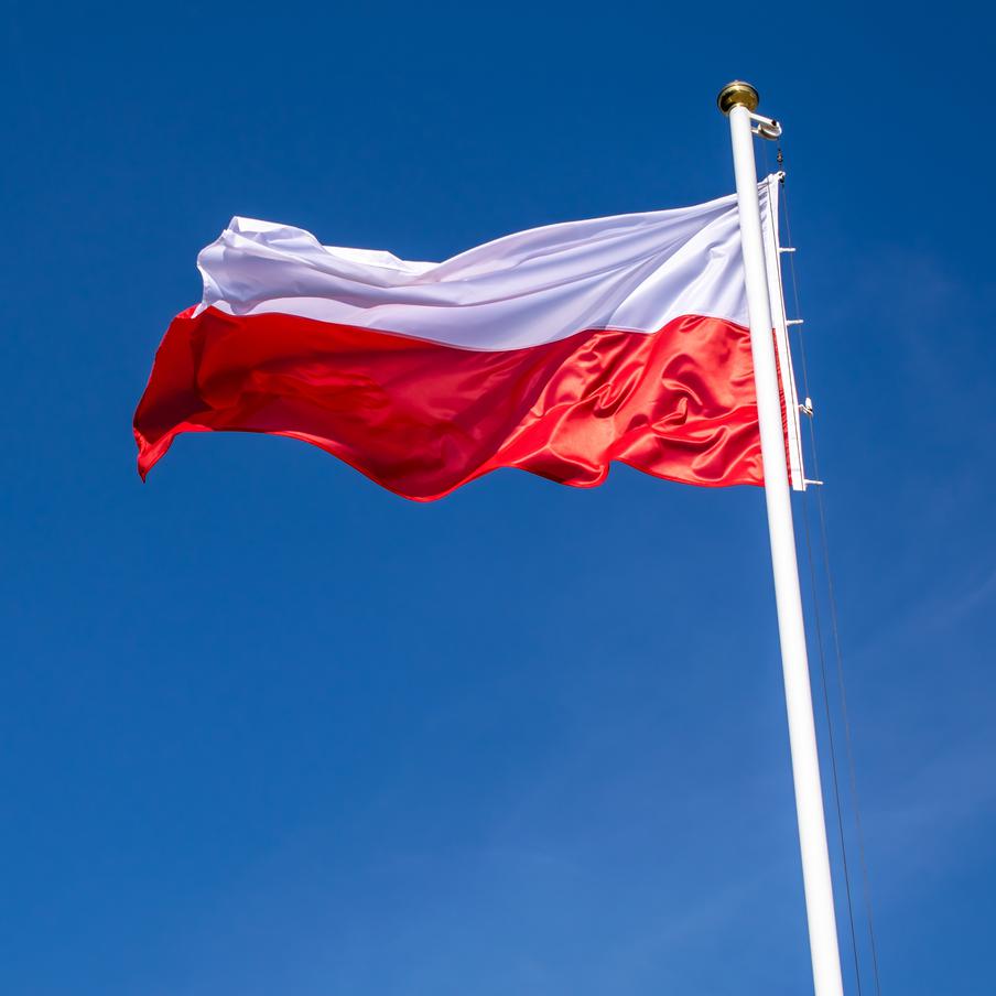 Гражданину Украины грозит пожизненное за нападение на аббатство в Польше. 31-летний украинец Игорь М. обвиняется в убийстве и других тяжких преступлениях после инцидента в польском Ярославе