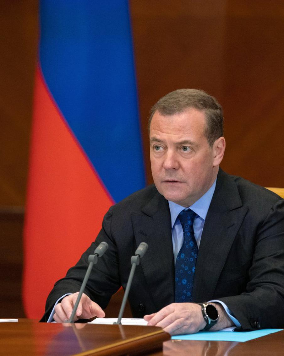 Медведев заявил о рисках задержания россиян в европейских странах