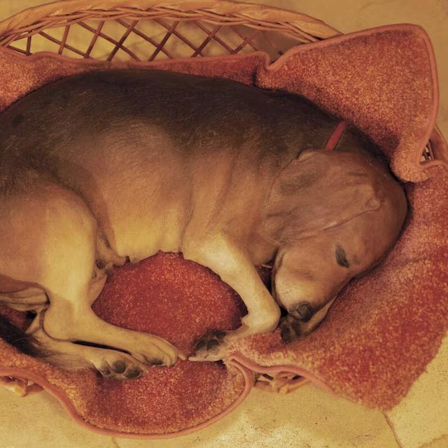 Скульптура Дуэйна Хансона Beagle in a Basket.
