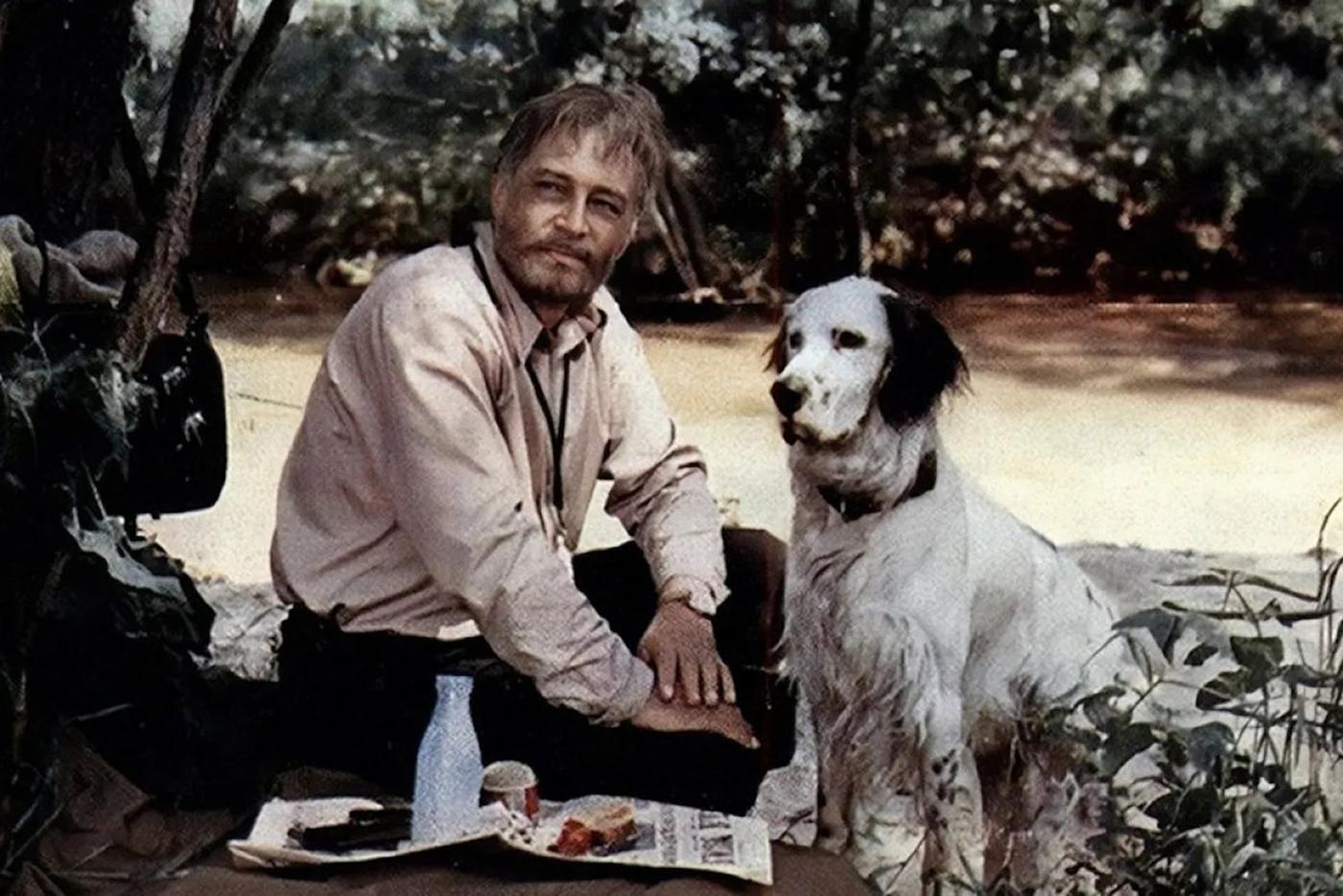 Вячеслав Тихонов в картине "Белый Бим Чёрное ухо" (1977).