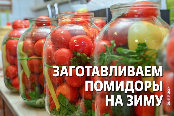 Банка с лета: что остаётся в переработанных помидорах и зачем добавлять гвоздику
