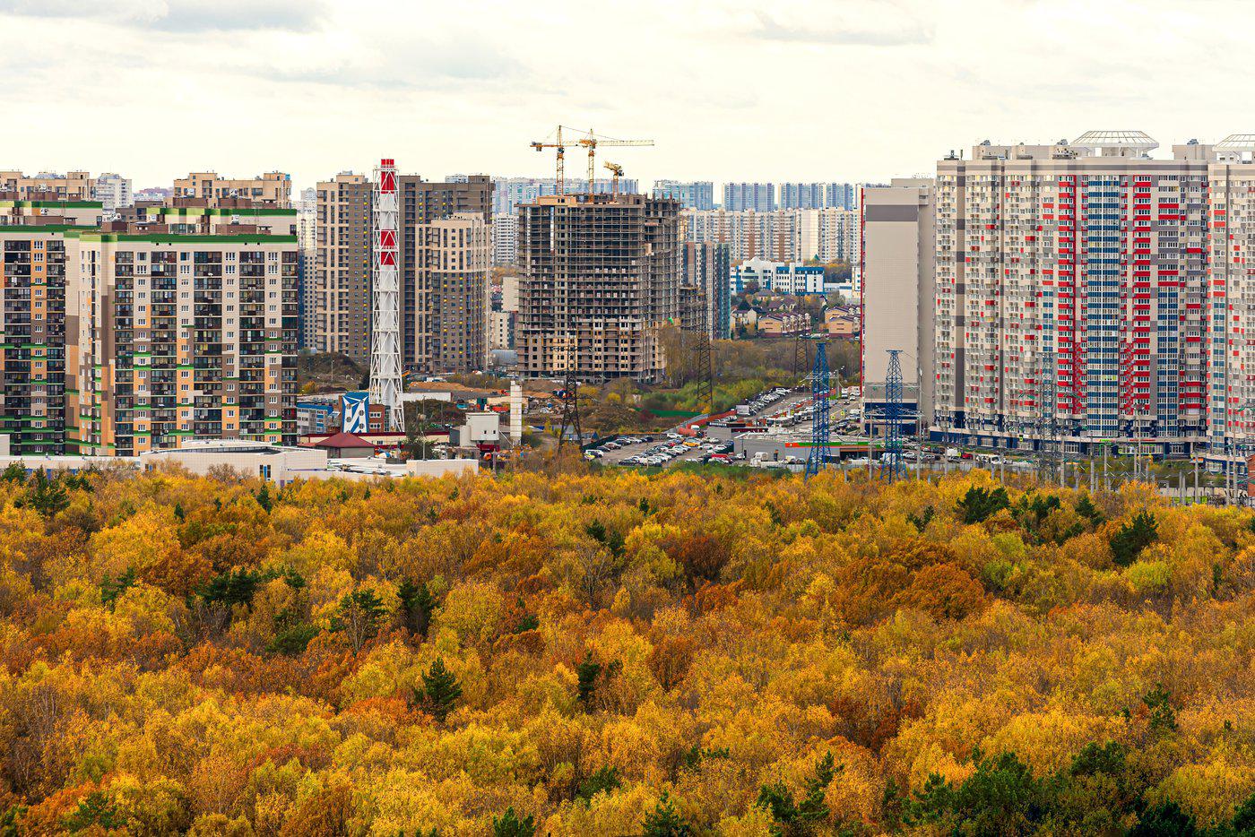 В каких городах Подмосковья стоит покупать квартиру: плюсы и минусы