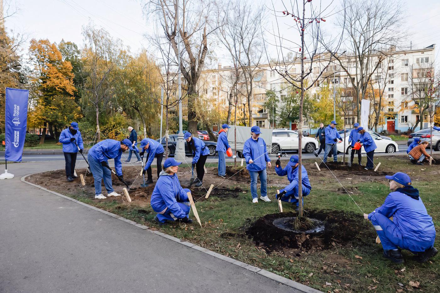 Волонтёры высадили яблони как на гербе Капотни