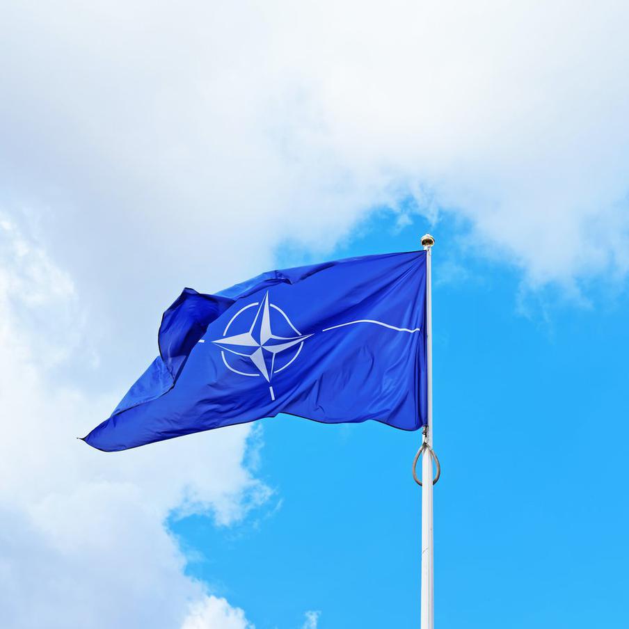 НАТО упростит и удешевит закупки вооружения для Украины через агентство NSPA. Агентство НАТО по поддержке и закупкам (NSPA) поможет Украине быстрее и дешевле приобретать оружие и технику. За счёт масштаба появится "эффект экономии", в том числе на закупке военной формы