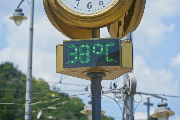 Самое смертоносное лето века: жара в Европе могла унести более 50 тысяч жизней