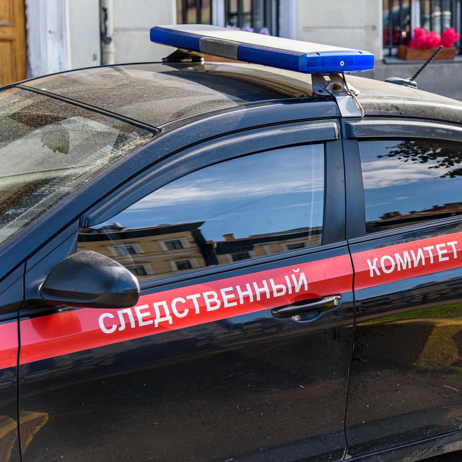 Жителя Череповца обвиняют в систематическом истязании пасынка на протяжении года. Известно, что мужчина также незаконно удерживал сына своей супруги в период с 2025 по 2026 годы. Теперь ему предъявлено обвинение сразу по двум статьям Уголовного кодекса РФ. Череповчанин был задержан и заключён под стражу